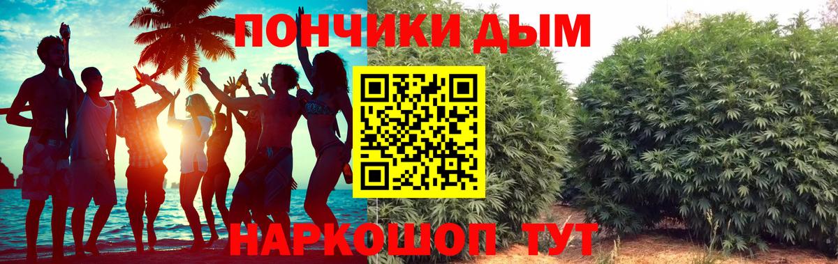 Бошки Шишки сатива  Канабис Bruce Banner  Губаха  Вход с VPN  Бошки марихуана план 